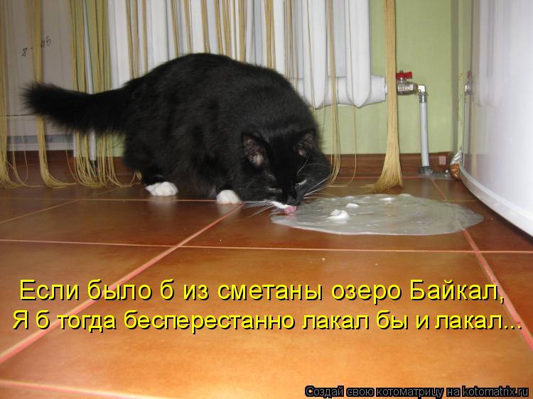 Котоматрица: Если было б из сметаны озеро Байкал, Я б тогда бесперестанно лакал бы и лакал...