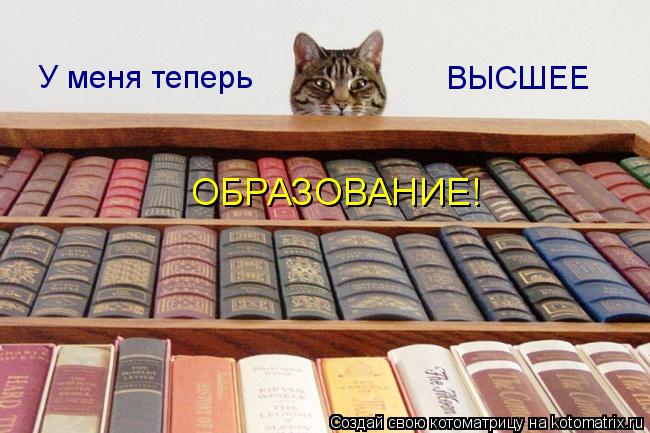Котоматрица: У меня теперь ВЫСШЕЕ ОБРАЗОВАНИЕ!