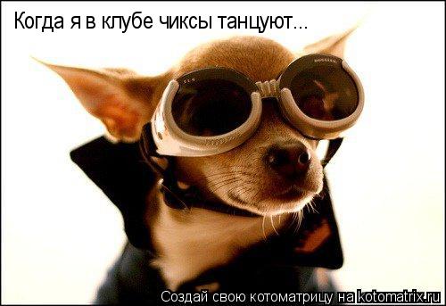 Когда я в клубе чиксы танцуют...... Котоматрица: Когда я в клубе чиксы танцуют...