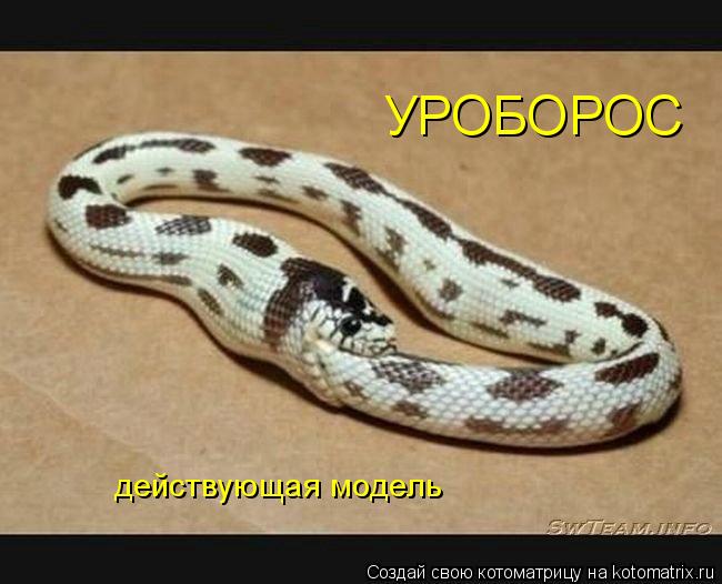 УРОБОРОС действующая модель... Котоматрица: УРОБОРОС действующая модель