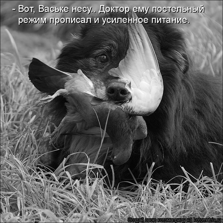 - Вот, Ваське несу.. Доктор ему постельный режим прописал и усиленное питание.... Котоматрица: - Вот, Ваське несу.. Доктор ему постельный режим прописал и усиленное питание.