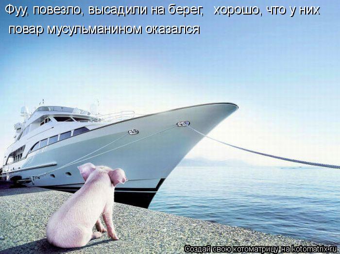 Фуу, повезло, высадили на берег, хорошо, что у них повар мусульманином оказался... Котоматрица: Фуу, повезло, высадили на берег, хорошо, что у них повар мусульманином оказался