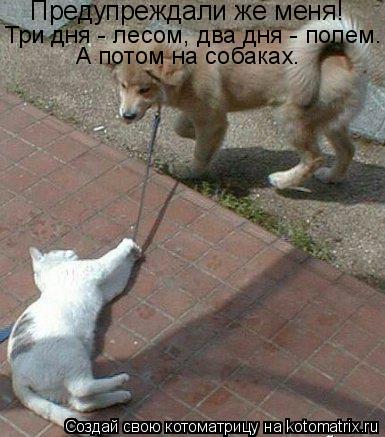 Предупреждали же меня! Три дня - лесом, два дня - полем. А потом на собаках.... Котоматрица: Предупреждали же меня! Три дня - лесом, два дня - полем. А потом на собаках.