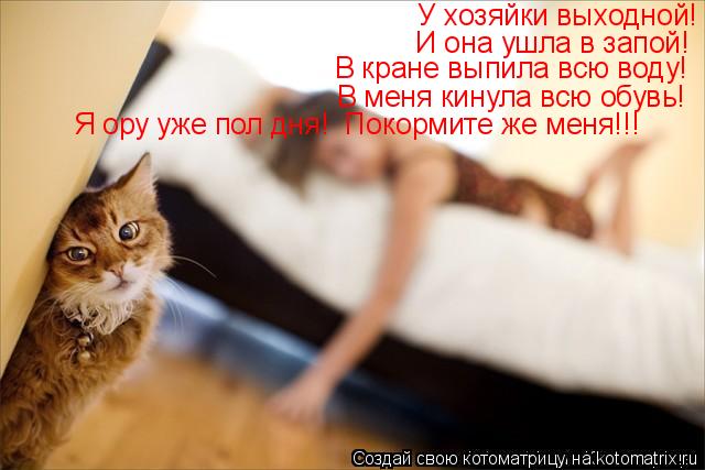 У хозяйки выходной! И она ушла в запой! В кране выпила всю воду! В меня кинула всю обувь! Я ору уже п... Котоматрица: У хозяйки выходной! И она ушла в запой! В кране выпила всю воду! В меня кинула всю обувь! Я ору уже пол дня! Покормите же меня!!!