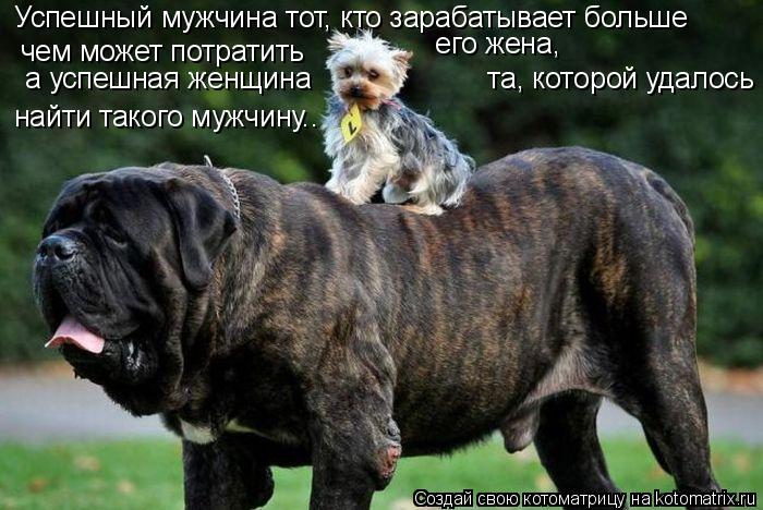 Успешный мужчина тот, кто зарабатывает больше чем может потратить его жена, а успешная женщина ... Котоматрица: Успешный мужчина тот, кто зарабатывает больше чем может потратить его жена, а успешная женщина та, которой удалось найти такого