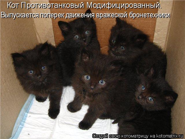 Кот Противотанковый Модифицированный. Выпускается поперек движения вражеской бронетехники... Котоматрица: Кот Противотанковый Модифицированный. Выпускается поперек движения вражеской бронетехники