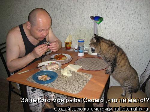 Эй,ты!Это моя рыба!Своего ,что ли мало!?... Котоматрица: Эй,ты!Это моя рыба!Своего ,что ли мало!?