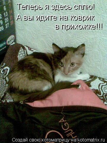 Теперь я здесь сплю! А вы идите на коврик в прихожке!!!... Котоматрица: Теперь я здесь сплю! А вы идите на коврик в прихожке!!!