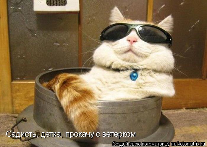 Садисть, детка, прокачу с ветерком... Котоматрица: Садисть, детка, прокачу с ветерком