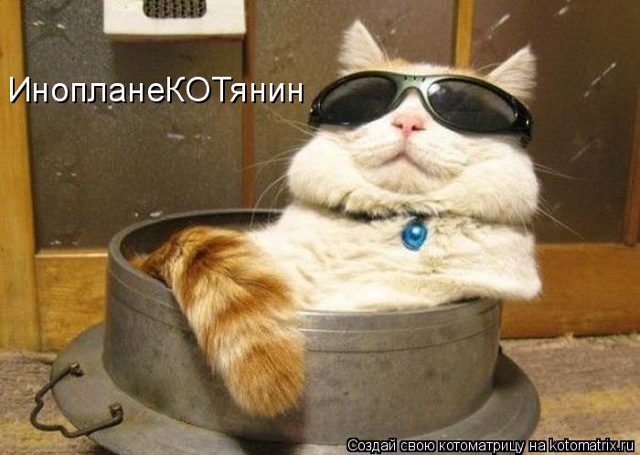 ИнопланеКОТянин... Котоматрица: ИнопланеКОТянин