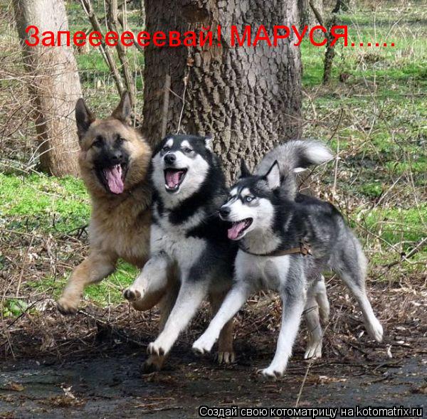 Запеееееевай! МАРУСЯ......... Котоматрица: Запеееееевай! МАРУСЯ......