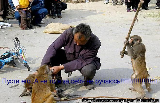 Пусти его..А не то я за себя не ручаюсь!!!!!!!!!!!!!!!!!!!... Котоматрица: Пусти его..А не то я за себя не ручаюсь!!!!!!!!!!!!!!!!!!!
