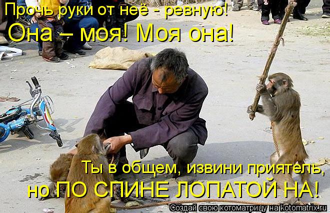 Прочь руки от неё - ревную! Она – моя! Моя она! Ты в общем, извини приятель, но ПО СПИНЕ ЛОПАТО... Котоматрица: Прочь руки от неё - ревную! Она – моя! Моя она! Ты в общем, извини приятель, но ПО СПИНЕ ЛОПАТОЙ НА!