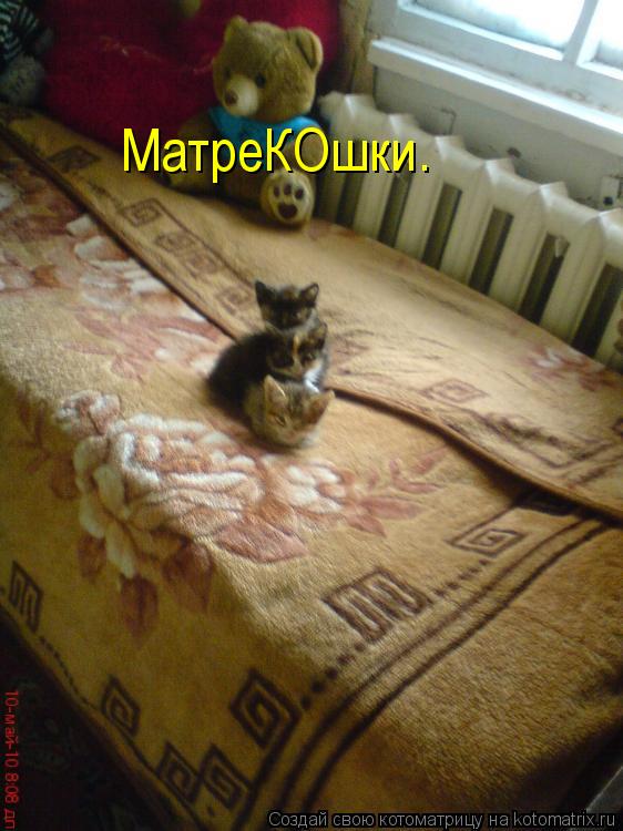 МатреКОшки.... Котоматрица: МатреКОшки.