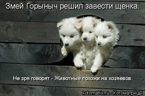 Змей Горыныч решил завести щенка. Не зря говорят - Животные похожи на хозяевов.... Котоматрица: Змей Горыныч решил завести щенка. Не зря говорят - Животные похожи на хозяевов.