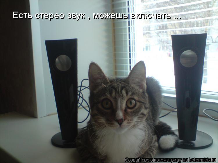 Есть стерео звук , можешь включать ...... Котоматрица: Есть стерео звук , можешь включать ...