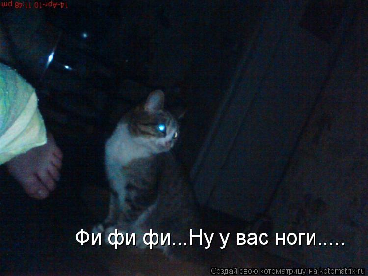 Фи фи фи...Ну у вас ноги........ Котоматрица: Фи фи фи...Ну у вас ноги.....