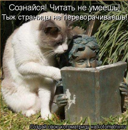 Сознайся! Читать не умеешь! Тыж страницы не переворачиваешь!... Котоматрица: Сознайся! Читать не умеешь! Тыж страницы не переворачиваешь!