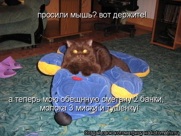 просили мышь? вот держите! а теперь мою обещнную сметану 2 банки, молока 3 миски и тушёнку!... Котоматрица: просили мышь? вот держите! а теперь мою обещнную сметану 2 банки, молока 3 миски и тушёнку!