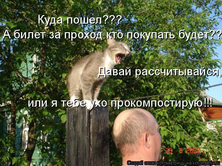 Куда пошел??? А билет за проход кто покупать будет??? Давай рассчитывайся, или я тебе ухо прокомпост... Котоматрица: Куда пошел??? А билет за проход кто покупать будет??? Давай рассчитывайся, или я тебе ухо прокомпостирую!!!