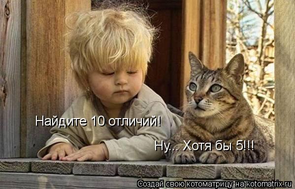 Найдите 10 отличий! Ну... Хотя бы 5!!!... Котоматрица: Найдите 10 отличий! Ну... Хотя бы 5!!!