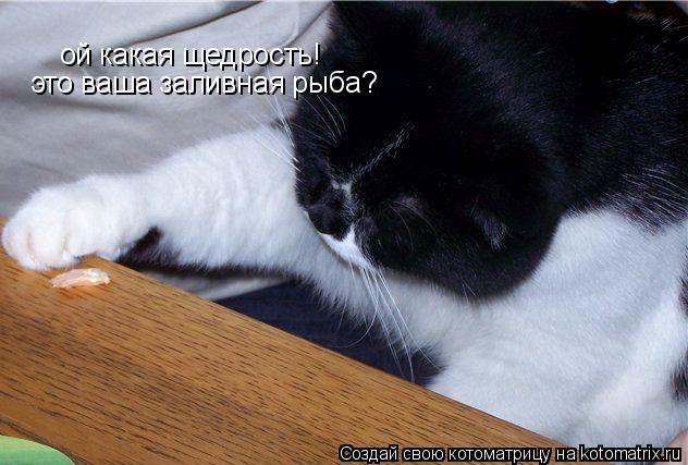 ой какая щедрость! это ваша заливная рыба?... Котоматрица: ой какая щедрость! это ваша заливная рыба?