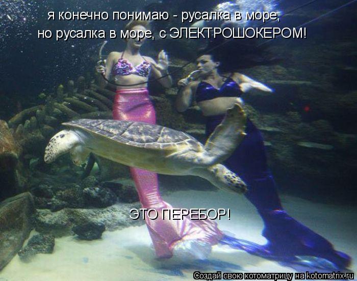 я конечно понимаю - русалка в море, но русалка в море, с ЭЛЕКТРОШОКЕРОМ! ЭТО ПЕРЕБОР!... Котоматрица: я конечно понимаю - русалка в море, но русалка в море, с ЭЛЕКТРОШОКЕРОМ! ЭТО ПЕРЕБОР!