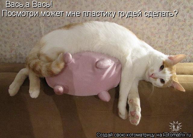 Вась,а Вась! Посмотри,может мне пластику грудей сделать?... Котоматрица: Вась,а Вась! Посмотри,может мне пластику грудей сделать?