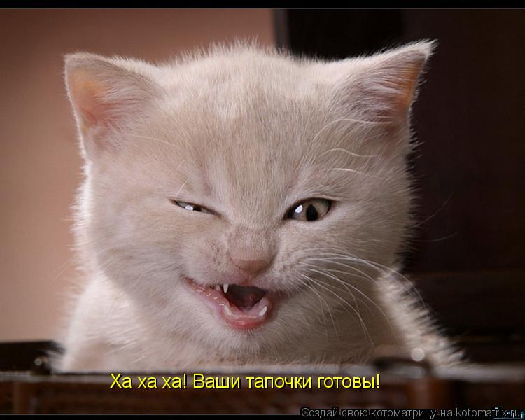Ха ха ха! Ваши тапочки готовы!... Котоматрица: Ха ха ха! Ваши тапочки готовы!