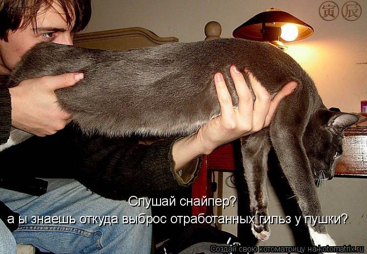 Слушай снайпер? а ы знаешь откуда выброс отработанных гильз у пушки?... Котоматрица: Слушай снайпер? а ы знаешь откуда выброс отработанных гильз у пушки?
