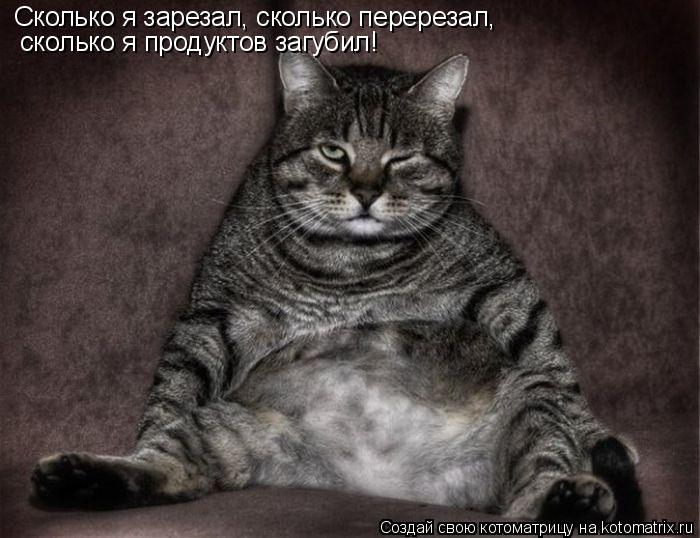 Сколько я зарезал, сколько перерезал, сколько я продуктов загубил!... Котоматрица: Сколько я зарезал, сколько перерезал, сколько я продуктов загубил!