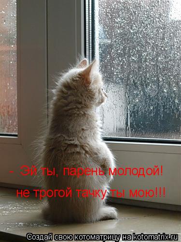 - Эй ты, парень молодой! не трогой тачку ты мою!!!... Котоматрица: - Эй ты, парень молодой! не трогой тачку ты мою!!!