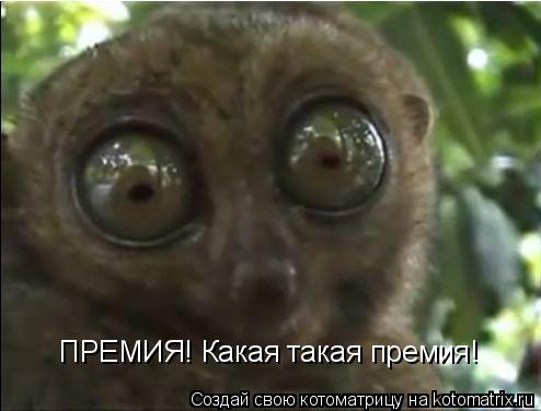 ПРЕМИЯ! Какая такая премия!... Котоматрица: ПРЕМИЯ! Какая такая премия!