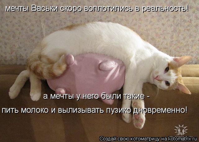 мечты Васьки скоро воплотились в реальность! а мечты у него были такие - пить молоко и вылизывать пу... Котоматрица: мечты Васьки скоро воплотились в реальность! а мечты у него были такие - пить молоко и вылизывать пузико дновременно!