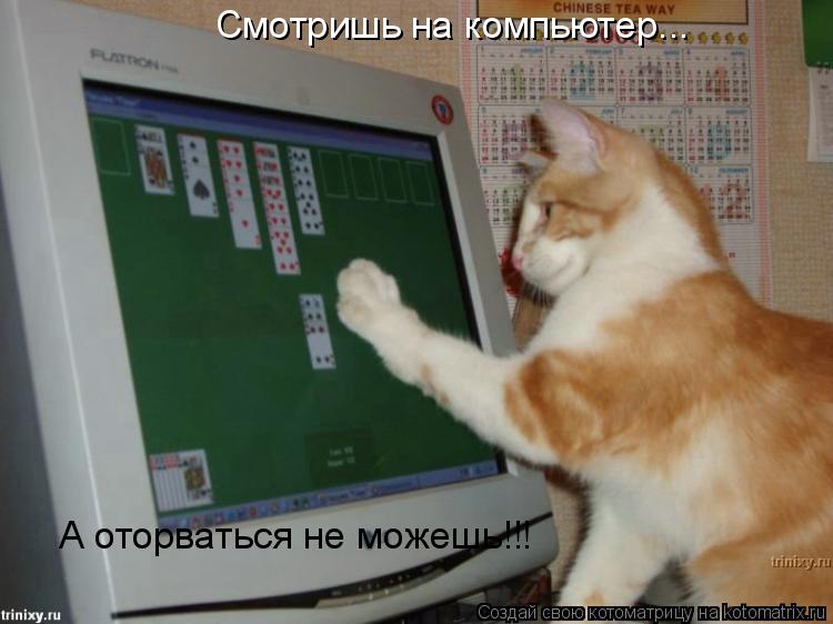 Смотришь на компьютер... А оторваться не можешь!!!... Котоматрица: Смотришь на компьютер... А оторваться не можешь!!!