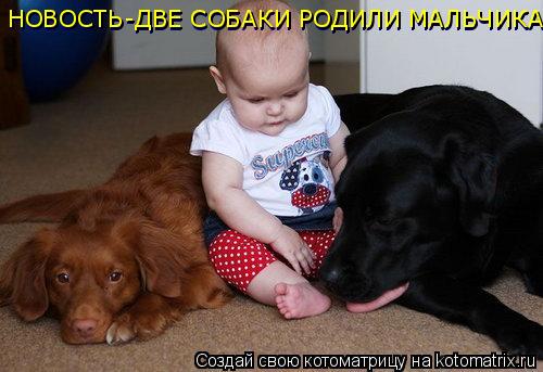 НОВОСТЬ-ДВЕ СОБАКИ РОДИЛИ МАЛЬЧИКА НОВОСТЬ-ДВЕ СОБАКИ РОДИЛИ МАЛЬЧИКА... Котоматрица: НОВОСТЬ-ДВЕ СОБАКИ РОДИЛИ МАЛЬЧИКА НОВОСТЬ-ДВЕ СОБАКИ РОДИЛИ МАЛЬЧИКА