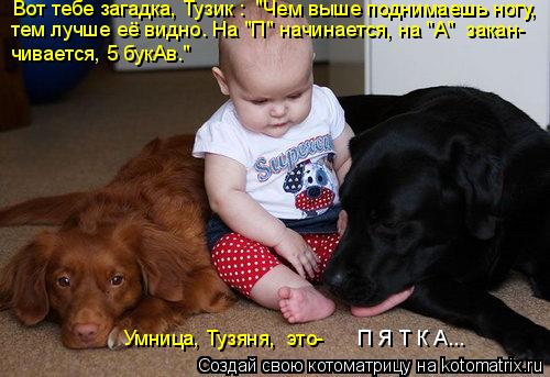 Умница, Тузяня, это- Вот тебе загадка, Тузик : "Чем выше поднимаешь ногу, тем лучше её видно. На "П... Котоматрица: Умница, Тузяня, это- Вот тебе загадка, Тузик : "Чем выше поднимаешь ногу, тем лучше её видно. На "П" начинается, на "А" закан- чивается, 5 букАв."