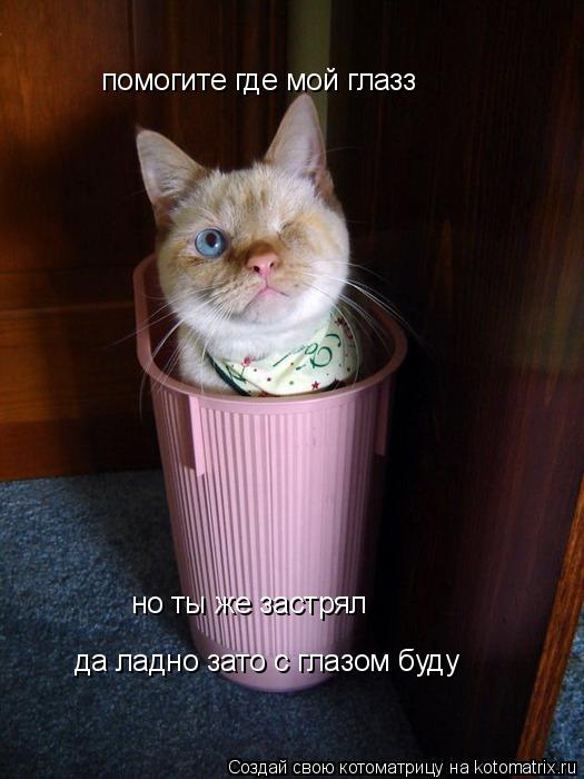 помогите где мой глазз но ты же застрял да ладно зато с глазом буду... Котоматрица: помогите где мой глазз но ты же застрял да ладно зато с глазом буду