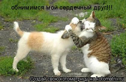 обнимимся мой сердечный друг!!!... Котоматрица: обнимимся мой сердечный друг!!!