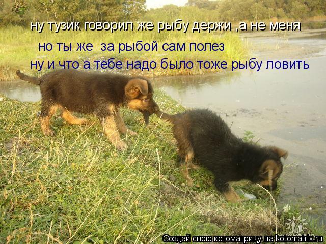 ну тузик говорил же рыбу держи ,а не меня но ты же за рыбой сам полез ну и что а тебе надо было тож... Котоматрица: ну тузик говорил же рыбу держи ,а не меня но ты же за рыбой сам полез ну и что а тебе надо было тоже рыбу ловить