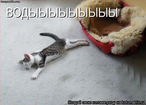 ВОДЫЫЫЫЫЫЫЫЫ... Котоматрица: ВОДЫЫЫЫЫЫЫЫЫ