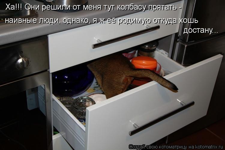 Ха!!! Они решили от меня тут колбасу прятать - наивные люди, однако, я ж её родимую откуда хошь доста... Котоматрица: Ха!!! Они решили от меня тут колбасу прятать - наивные люди, однако, я ж её родимую откуда хошь достану...