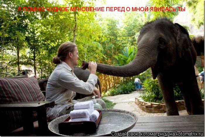 Я ПОМНЮ ЧУДНОЕ МГНОВЕНИЕ ПЕРЕД О МНОЙ ЯВИЛАСЬ ТЫ... Котоматрица: Я ПОМНЮ ЧУДНОЕ МГНОВЕНИЕ ПЕРЕД О МНОЙ ЯВИЛАСЬ ТЫ