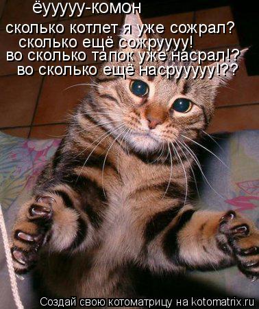 ёууууу-комон сколько котлет я уже сожрал? сколько ещё сожруууу! во сколько тапок уже насрал!? во ско... Котоматрица: ёууууу-комон сколько котлет я уже сожрал? сколько ещё сожруууу! во сколько тапок уже насрал!? во сколько ещё насрууууу!??