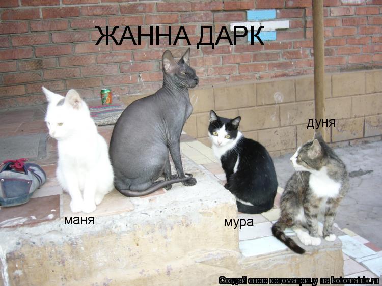 маня дуня мура ЖАННА ДАРК... Котоматрица: маня дуня мура ЖАННА ДАРК