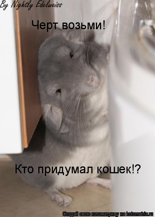 Кто придумал кошек!? Черт возьми!... Котоматрица: Кто придумал кошек!? Черт возьми!