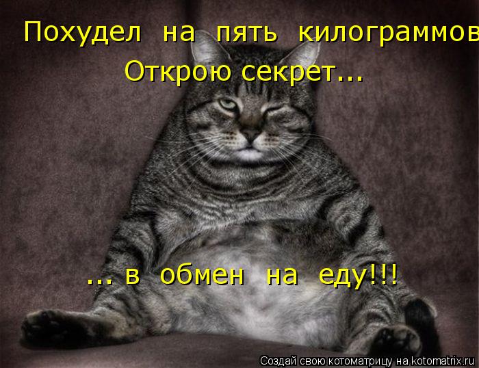 Похудел на пять килограммов. Открою секрет... ... в обмен на еду!!!... Котоматрица: Похудел на пять килограммов. Открою секрет... ... в обмен на еду!!!