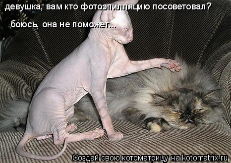 девушка, вам кто фотоэпилляцию посоветовал? боюсь, она не поможет...... Котоматрица: девушка, вам кто фотоэпилляцию посоветовал? боюсь, она не поможет...