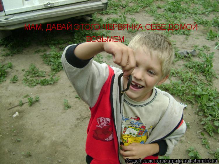МАМ, ДАВАЙ ЭТОГО ЧЕРВЯЧКА СЕБЕ ДОМОЙ ВОЗЬМЕМ... Котоматрица: МАМ, ДАВАЙ ЭТОГО ЧЕРВЯЧКА СЕБЕ ДОМОЙ ВОЗЬМЕМ