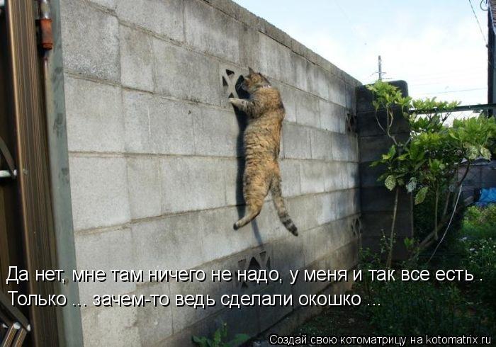 Котоматрица: Да нет, мне там ничего не надо, у меня и так все есть . Только ... зачем-то ведь сделали окошко ...